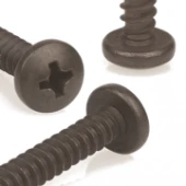 Саморез чернёный NERINOX с полукруглой головкой DIN7981H 5,5X25 A2