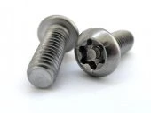 Антивандальный винт с полукруглой головкой TORX PIN WS 9480 аналог ISO 7380