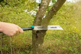 Wolfcraft ножовка японский тип 240 mm // 6951000