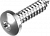 Саморез нержавеющий с полукруглой головкой DIN 7981, шлиц TORX