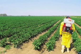 Опрыскиватель бензиновый SOLO 423