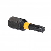 Біта DeWALT "EXTREME FLEXTORQ", Torx, T20, L= 25 мм, 1 шт | DT70557T_1