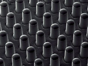 3M™ Антискользящая лента GM631 25мм x 91см