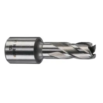 Milwaukee Фреза 12х30 мм для стойки магнитной; Weldon 19. // 4932371740