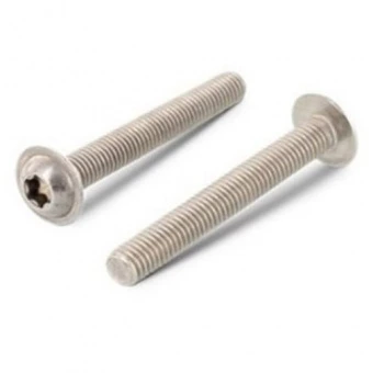 Болт ISO 7380-2 M2x14 A4 torx