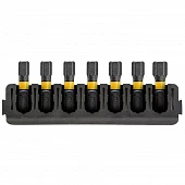 Касета з бітами DeWALT FlexTorq, L = 25 мм, H3, H4 - 3 шт, H5 - 2 шт, H6