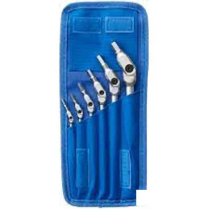 Набор ключей BONDHUS ( БОНДХУС ) Torx Pivot Head Wrenches 00019