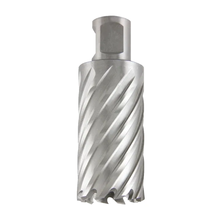 Фреза кольцевая PROFITOOL ( ПРОФИТУЛ ) 30x30 мм M42 HSS Co. Weldon 19