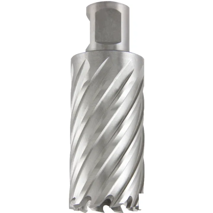 Фреза кольцевая 20х50 мм, материал M42 HSS-Co, хвостовик WELDON 19 мм