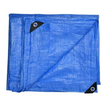 Тент будівельний 65г/м2, 10х12м Favorit | 10-860