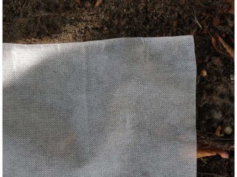 FLO Агроволокно захисне накривне , 50х 1,6 м, 50 гр/м², поліпропілен  | 91003