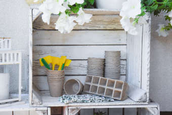 Набір для розсади FLO, 63 елементи [24]