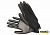 VOREL Рукавиці робочі : чорні, поліестер покритий поліуретаном, розмір 10  | 74080