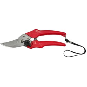 Секатор для черешків 195мм, зріз косий, ручка пластикова Technics | 71-000